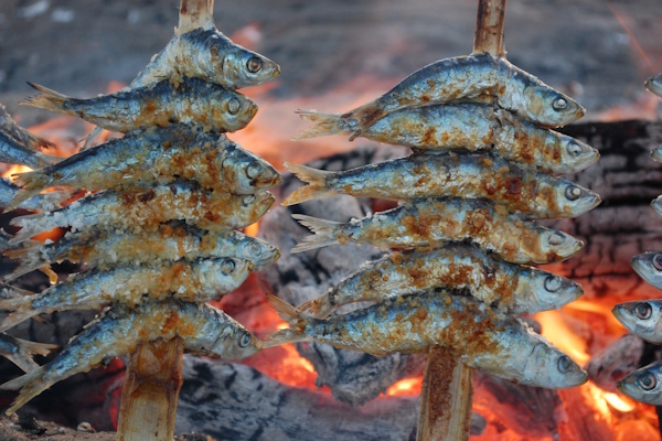 Gourmet Sardine Platter